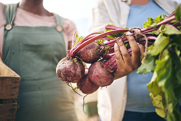 Fresh vegetables including potatoes and beetroots